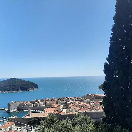 Sunny Summer
