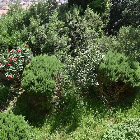 Sunny Summer Appartement *