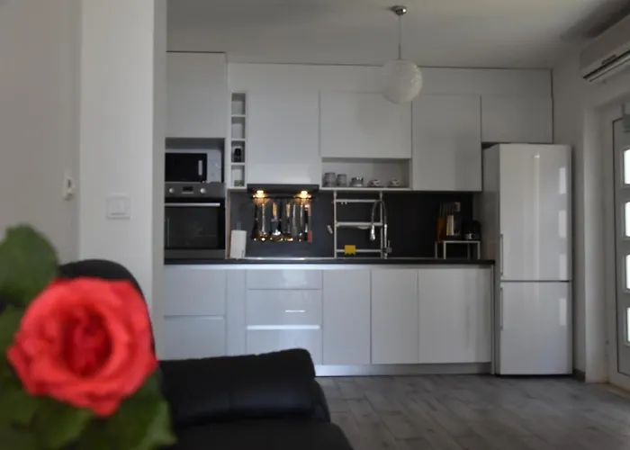 Sunny Summer Apartment