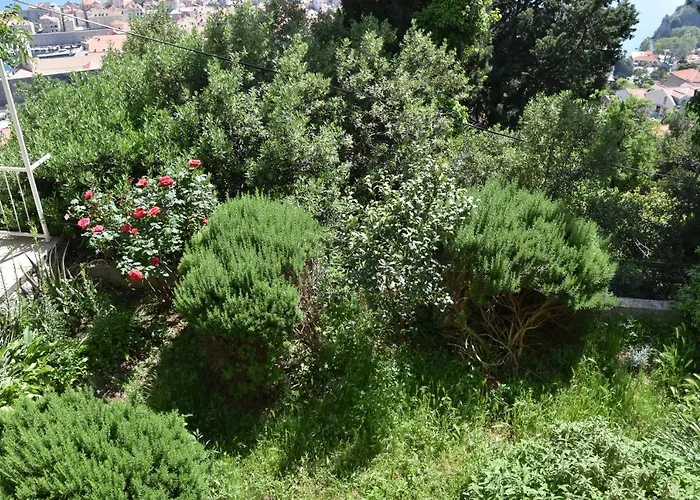 Sunny Summer Apartamento *